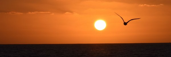 damian_dudka Profile Banner