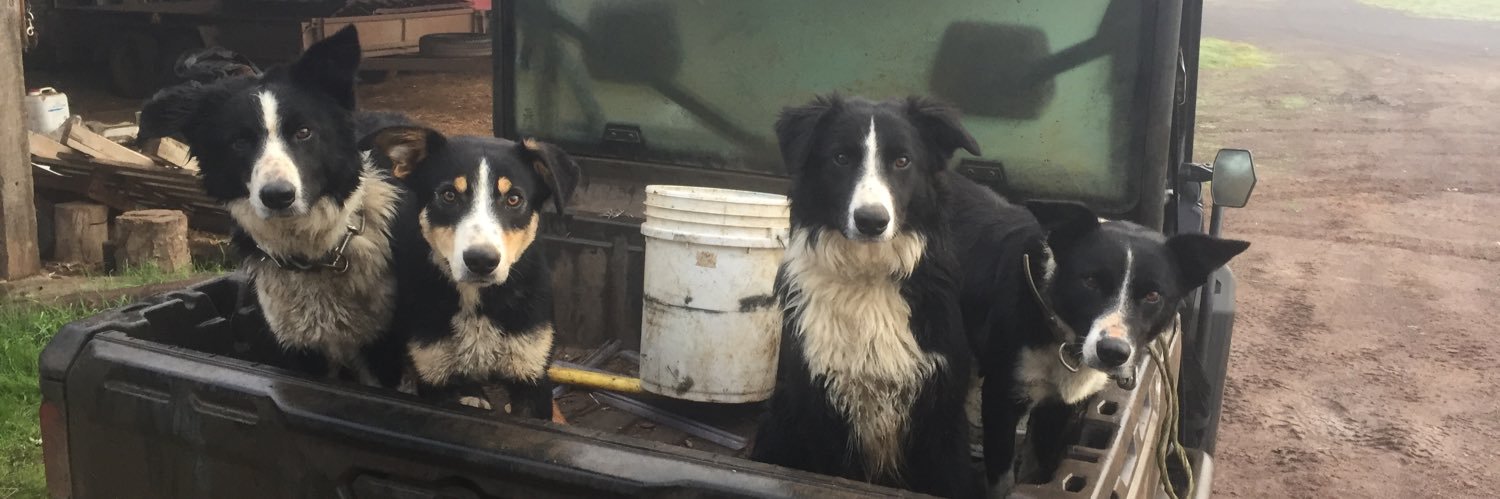 Anthony Close banner