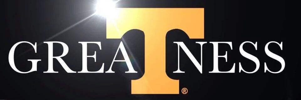 vflallison's profile banner image