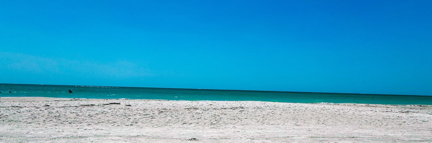 morganpasq's profile banner image