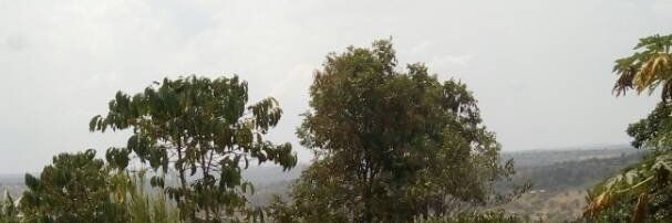 Kizito_Omuto banner