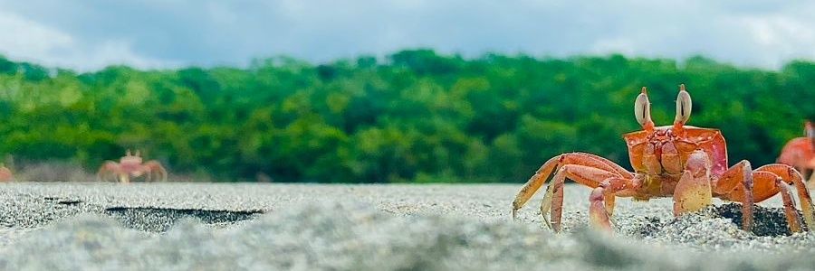MarseriaR's profile banner image