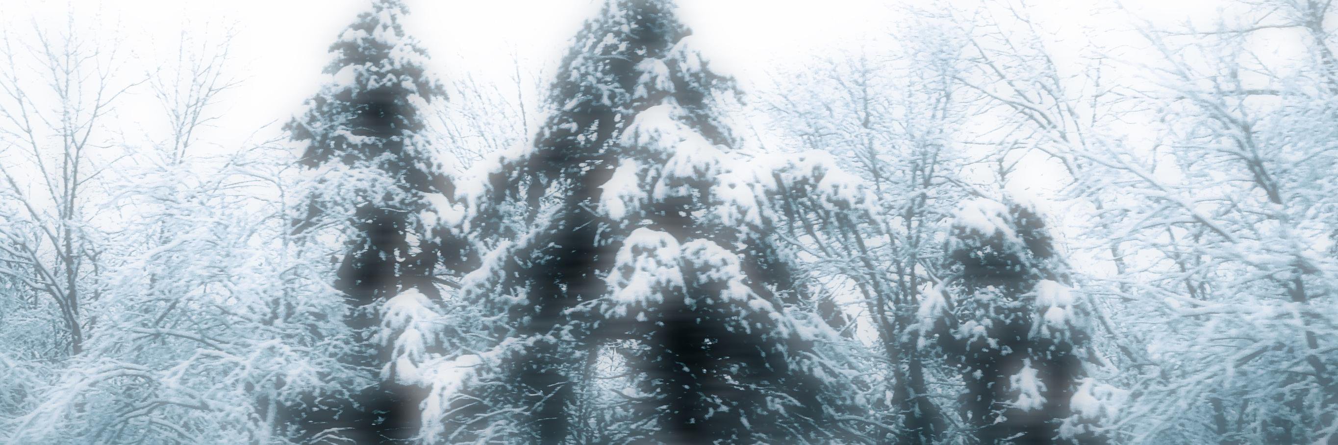 GreylockSnowDa1's profile banner image