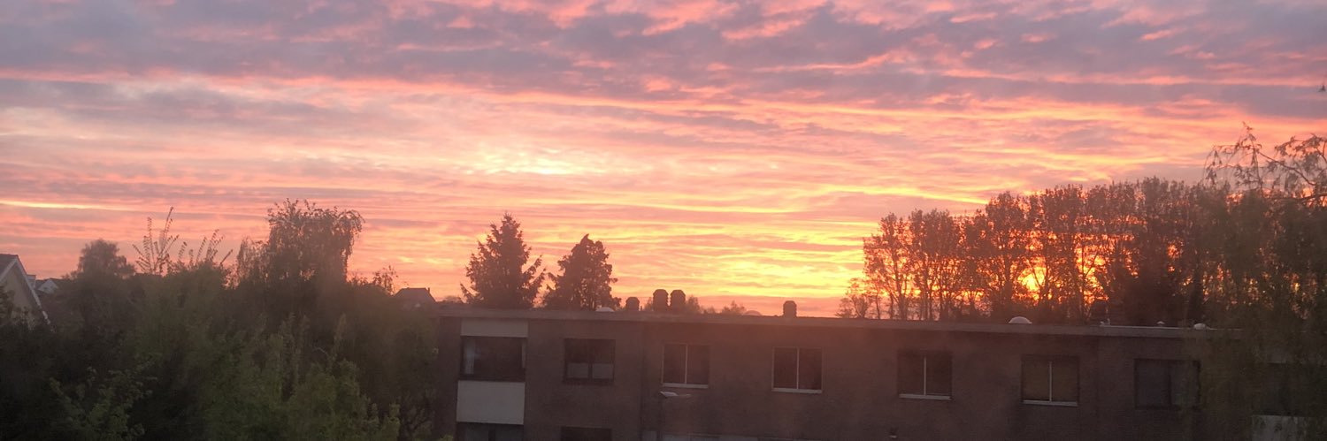 Leen De Witte banner