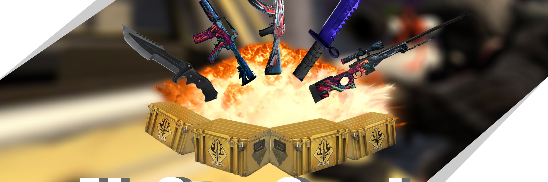 Alster banner