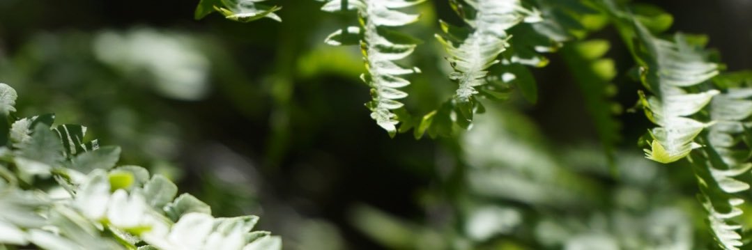 keltronnn's profile banner image