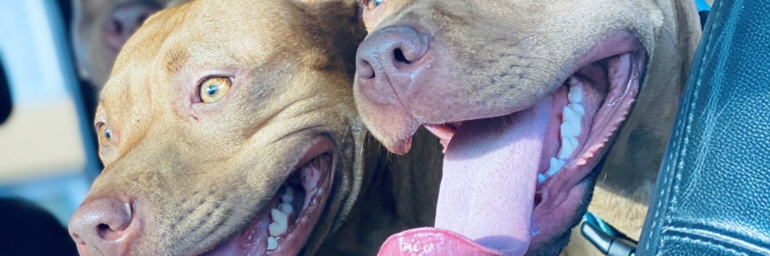 funny_guysean's profile banner image