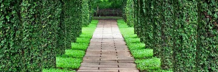 AmanVerma4682's profile banner image