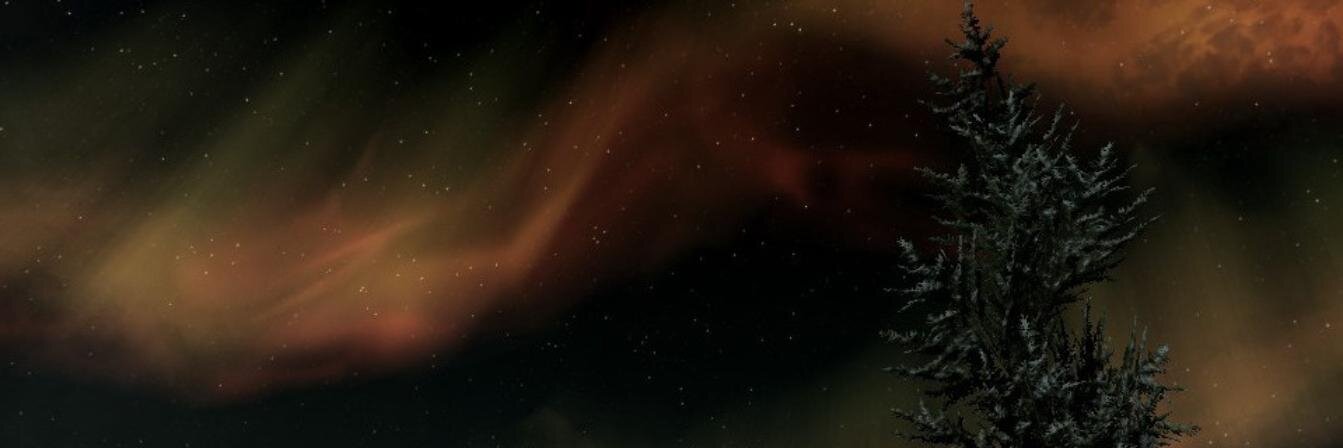 Moosehammer banner