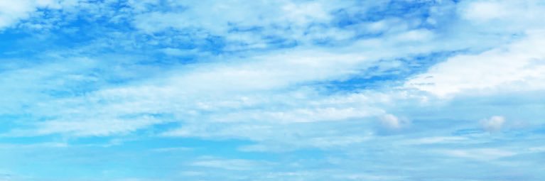 pieskasw's profile banner image