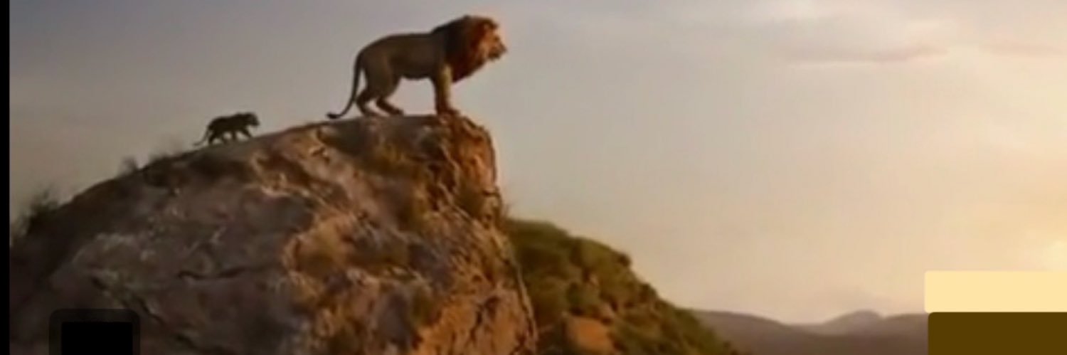 Lion Town Big King 👑 banner