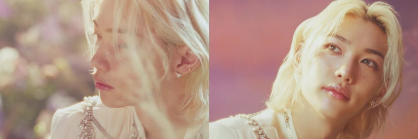 StayPawsitiveH's profile banner image