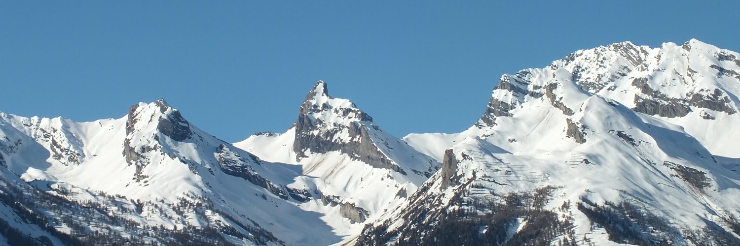 Alpine Terrier banner