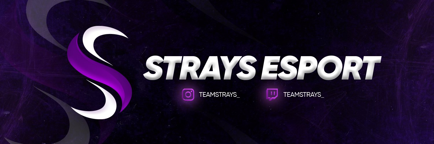TeamStraYs banner