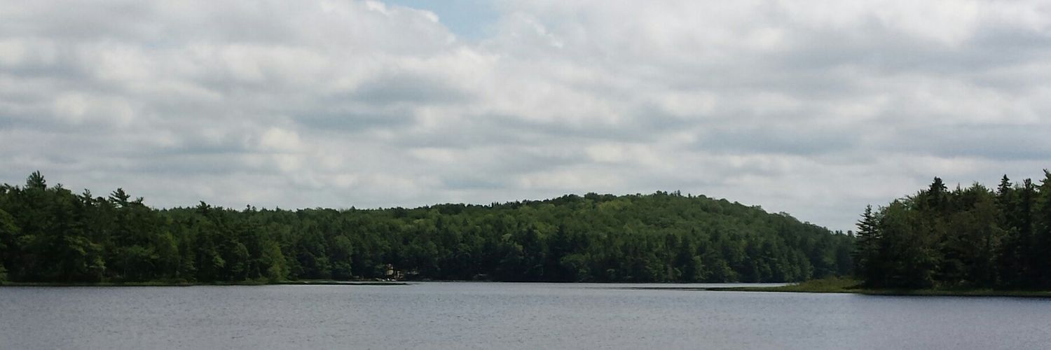 Sandy Neilsen banner