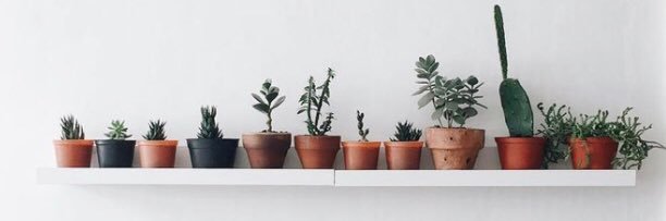 karly_beans8's profile banner image