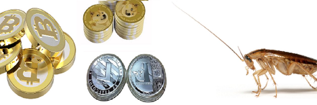 Cryptoroach banner
