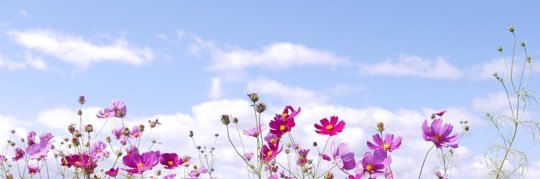 SLY_mai's profile banner image