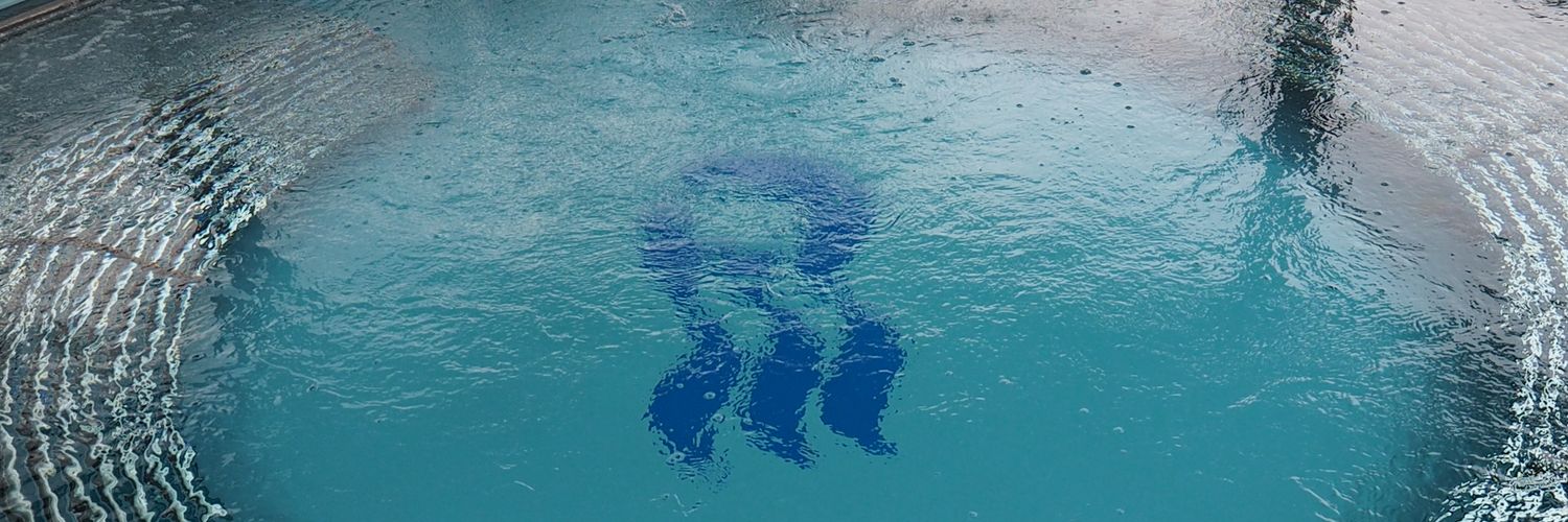 submarinebill's profile banner image