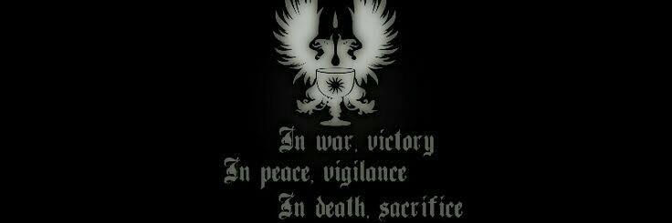 Orion o Guardião Cinzento💫 banner