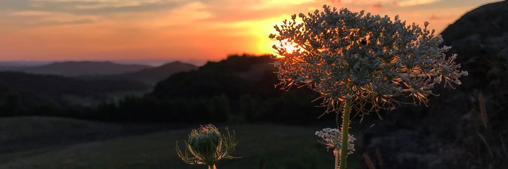 Matijoe42's profile banner image