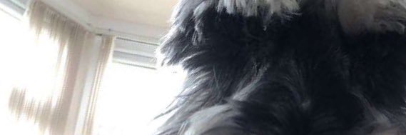 Porthouse_'s profile banner image