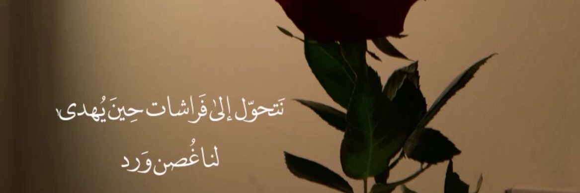 𝑺𝑨𝑹𝑨 🦋. banner