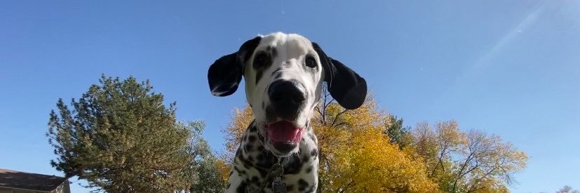 Erika_Derr's profile banner image