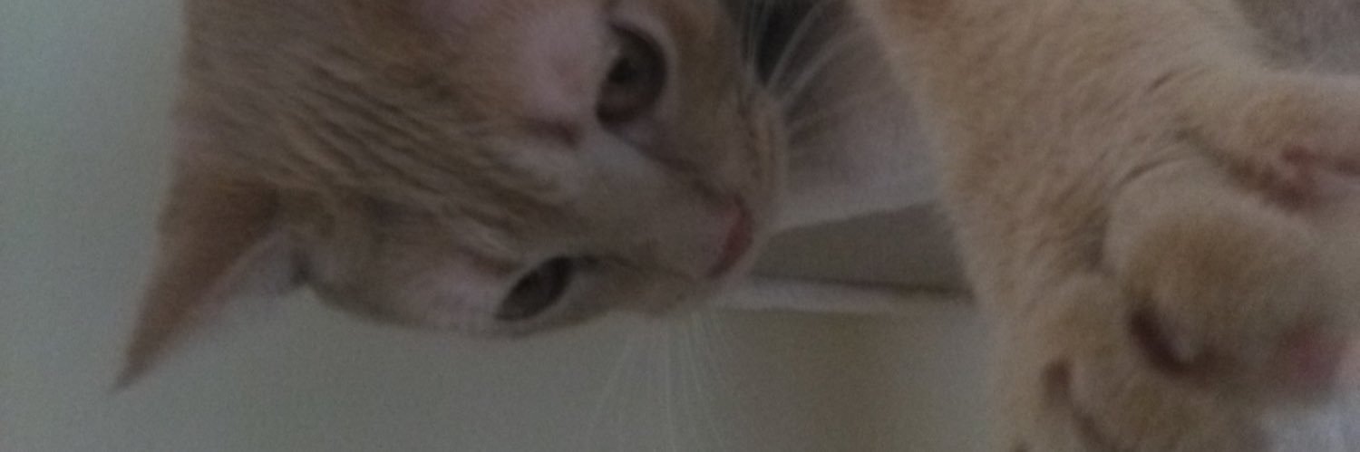 bitheby's profile banner image