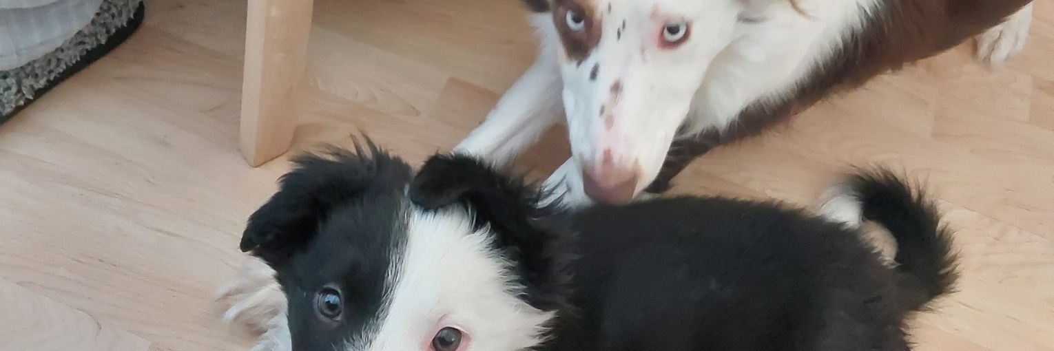 𝙲𝚘𝚕𝚍 𝙲𝚘𝚖𝚏𝚘𝚛𝚝™ banner