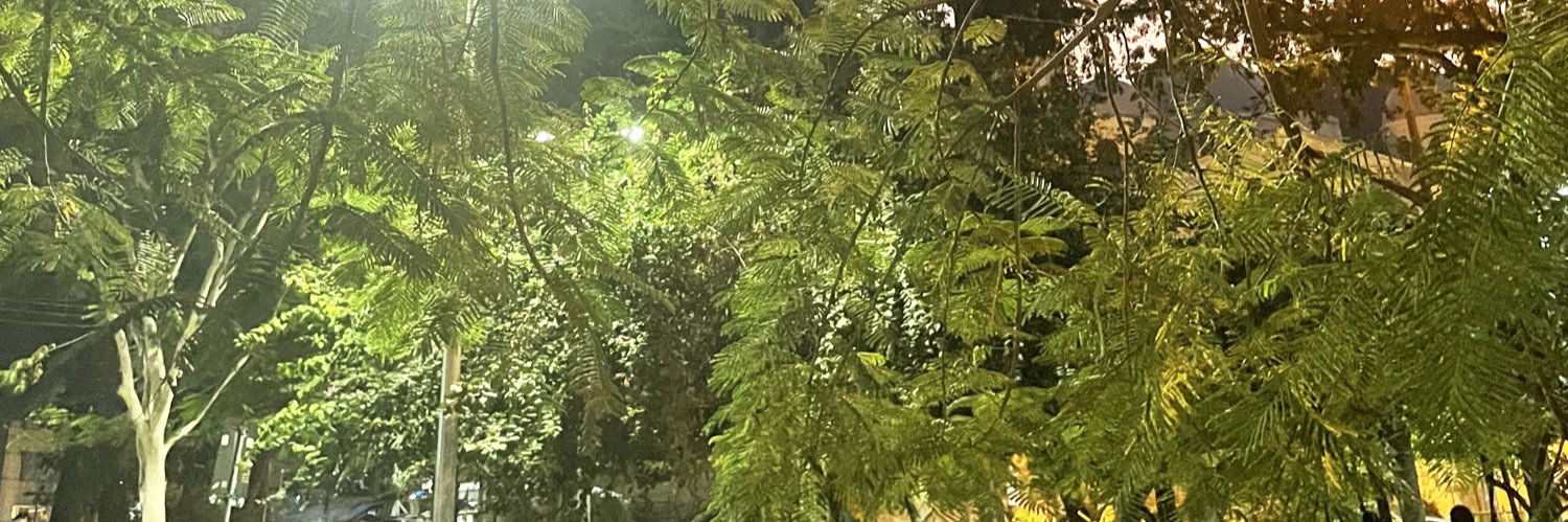 ackermikaa's profile banner image