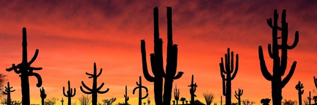 Phoenix CUGC banner