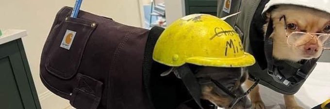 permafryd's profile banner image