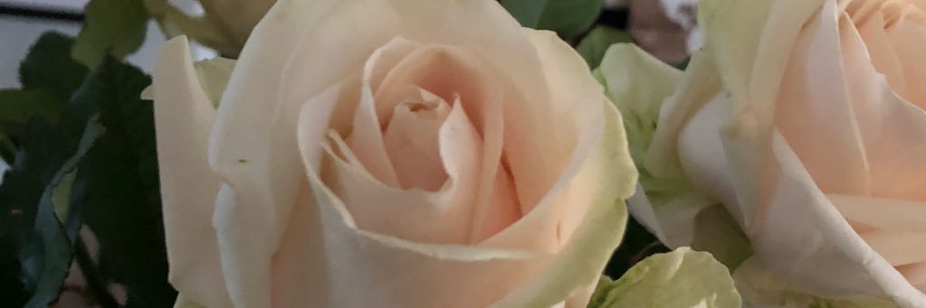 angelique_witde's profile banner image
