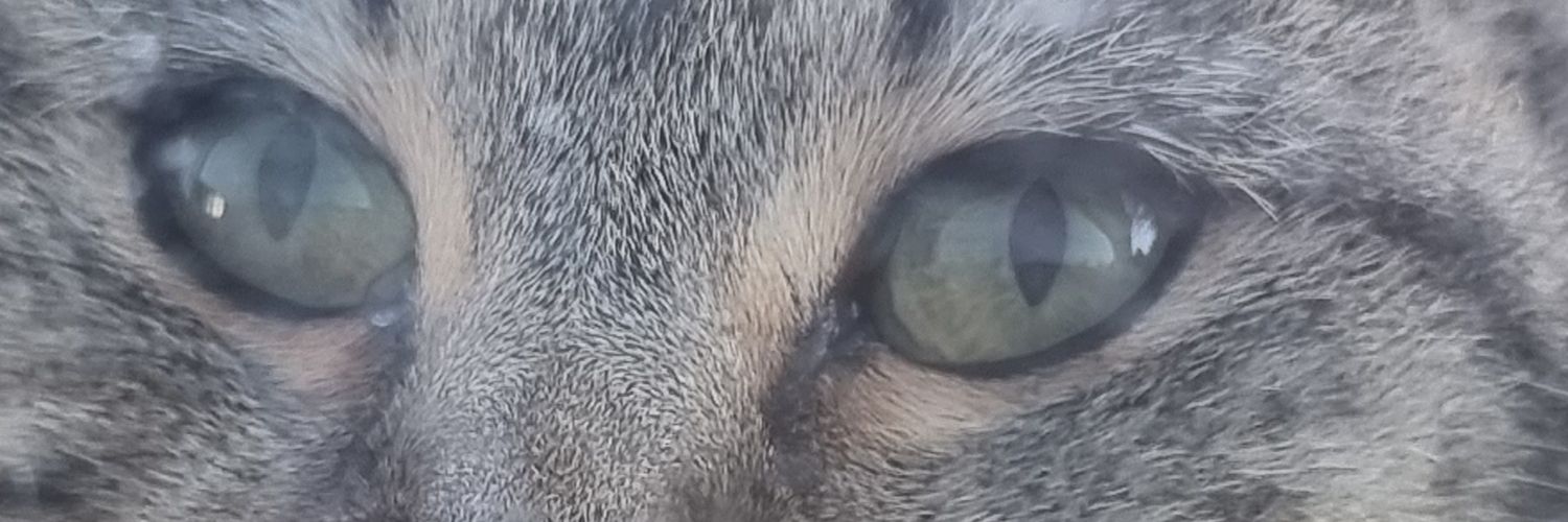 Joe🇮🇪📸🇻🇦 banner