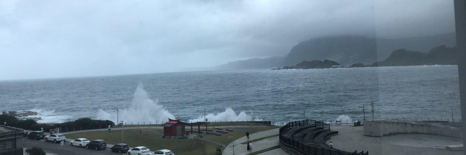 大隻孤勇者 banner