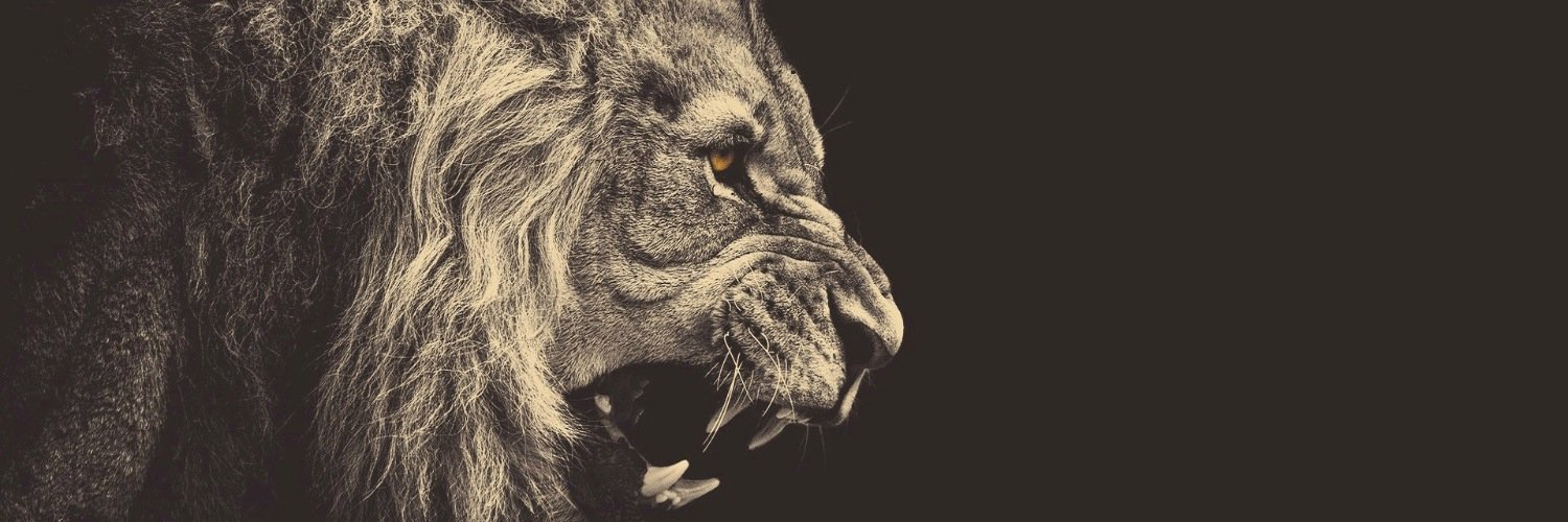 ForBeAnthony's profile banner image