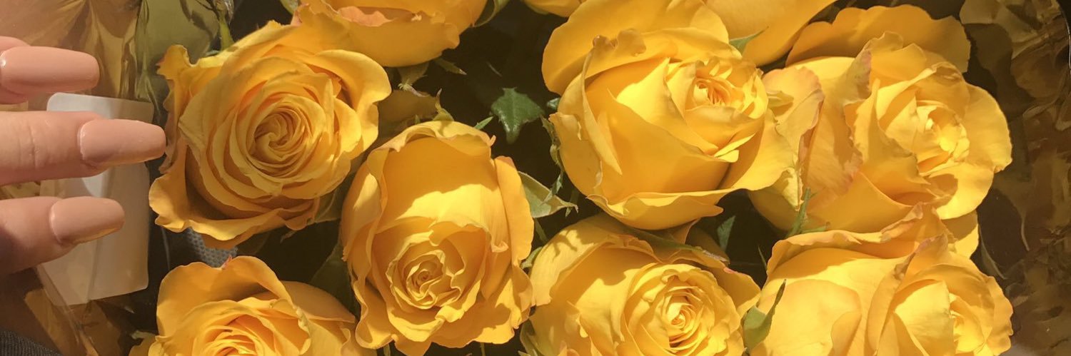omgassia's profile banner image