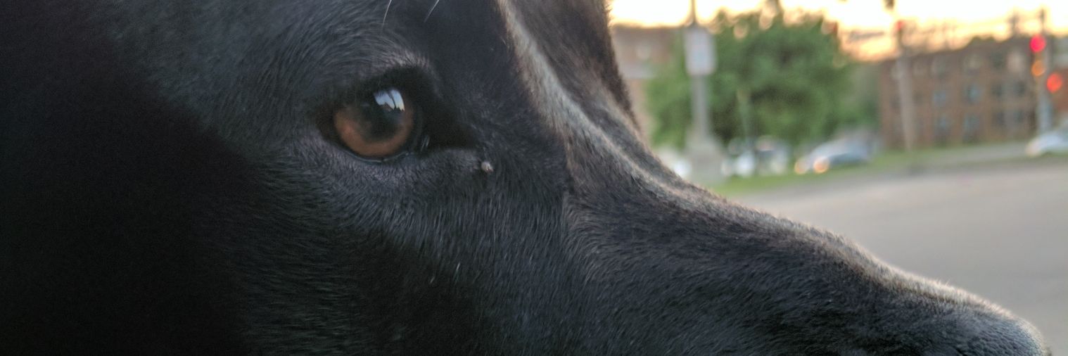 notrob17's profile banner image
