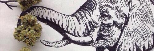 _becckss's profile banner image