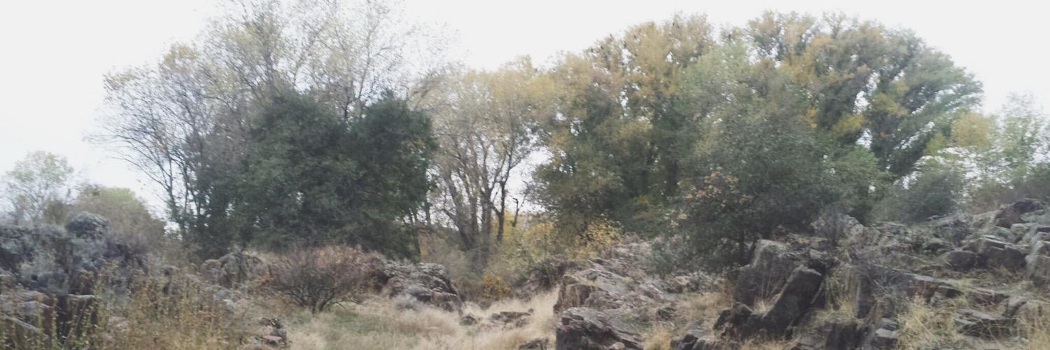 austinreeves47's profile banner image