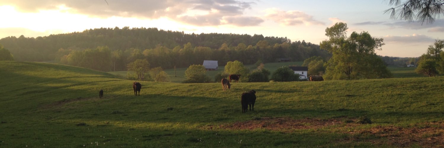 Washington Whatevers banner