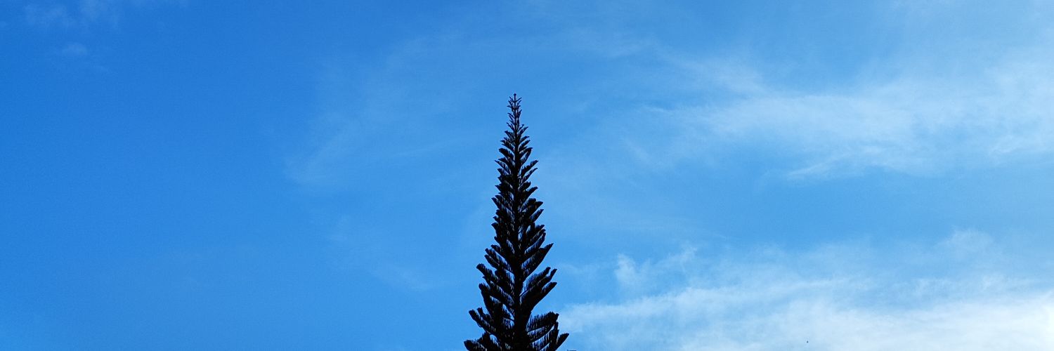 _sookjie's profile banner image