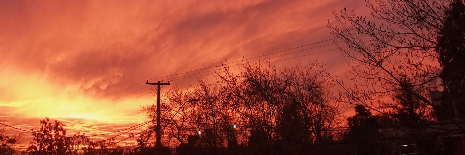 JoseIgnacio✨ banner