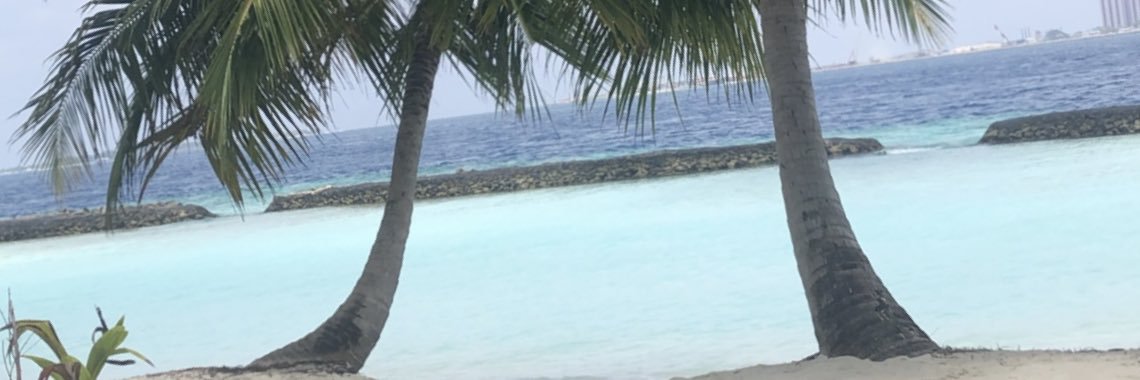 Dandoonbs's profile banner image