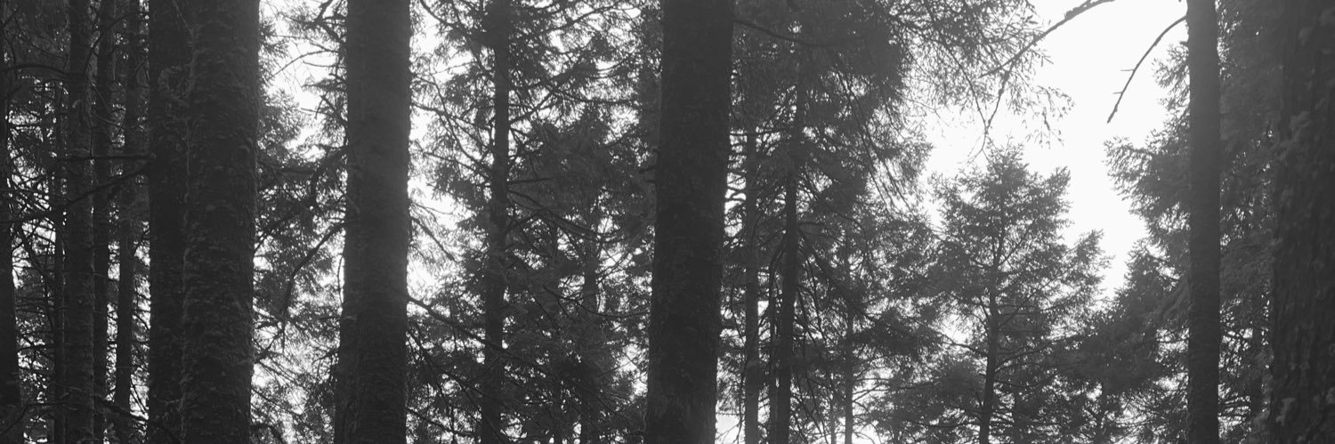 MarthaBernal01's profile banner image
