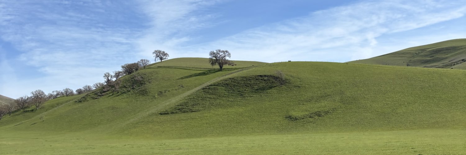 Delaney Corbitt banner