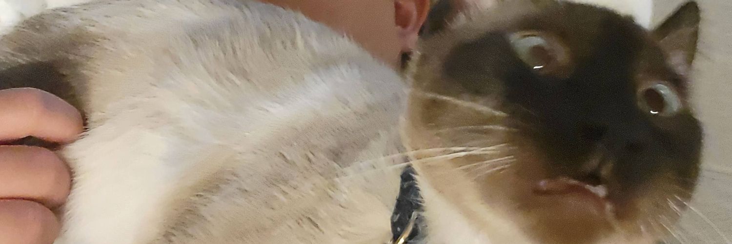 ochinchen's profile banner image
