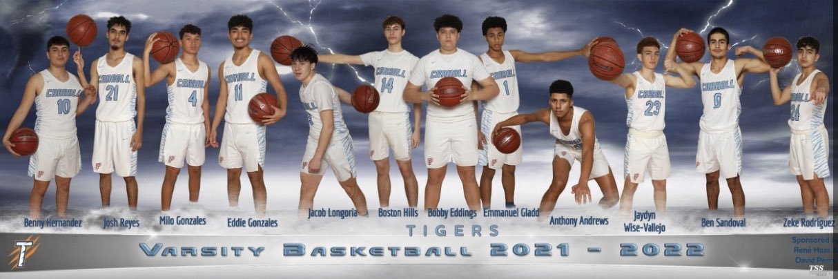 Carroll Tiger Hoops banner