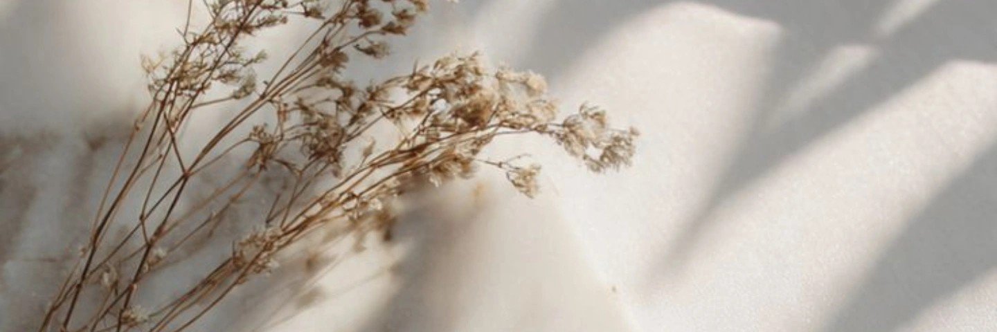 amefsan's profile banner image